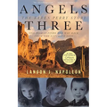Angels Three: The Karen Perry Story