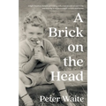 A Brick on the Head