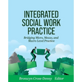 Integrated Social Work Practice: Bridging Micro, Mezzo, and Macro Level Practice