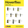 Hoverflies
