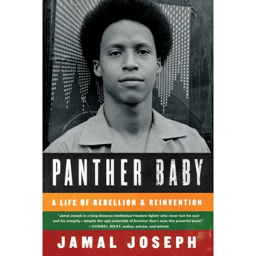 Panther Baby