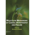 Molecular Mechanisms of Cardiac Hypertrophy and Failure