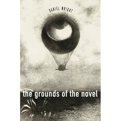 The Grounds of the Novel