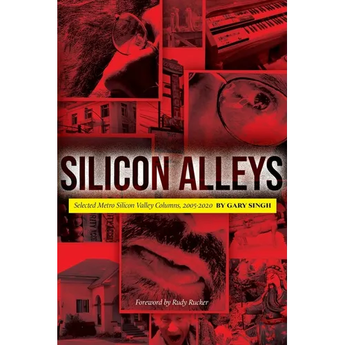 Silicon Alleys: Selected Metro Silicon Valley Columns, 2005-2020