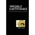 Invisible Earthquake. a Woman's Journal Through Still Birth