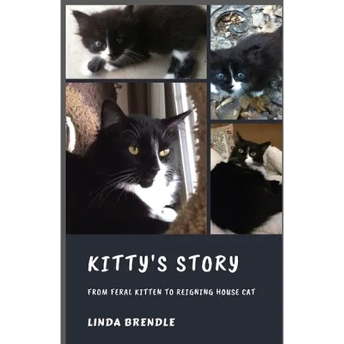 Kitty's Story: From Feral Kitten to Reigning Housecat