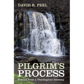 Pilgrim's Process: Essays from a Theological Journey