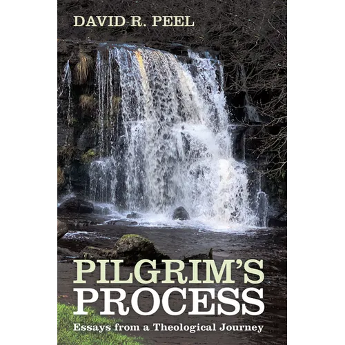 Pilgrim's Process: Essays from a Theological Journey