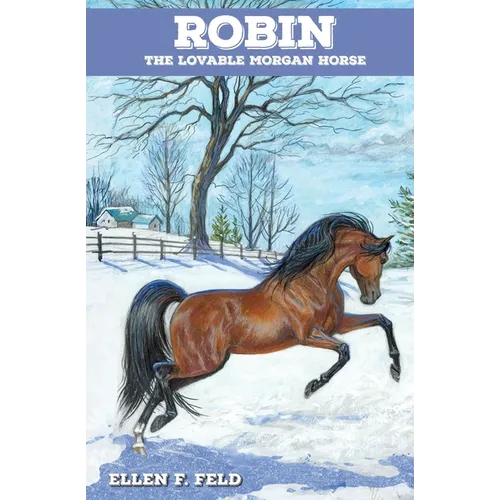 Robin: The Lovable Morgan Horse