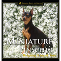 Miniature Pinscher: Reigning King of Toys