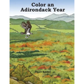 Color an Adirondack Year