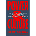 Power and Culture: Essays on the American Working Class