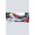 Casino Revenue Auditing