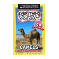 Everything You Should Know About: Camels