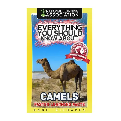 Everything You Should Know About: Camels