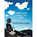 Something about the Sky