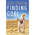 Finding Gobi: A Little Dog with a Very Big Heart