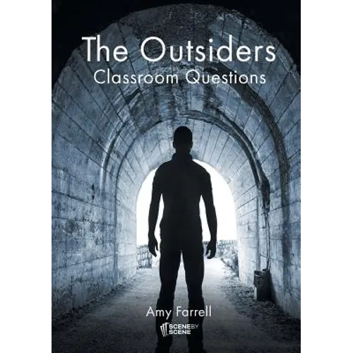 The Outsiders Classroom Questions