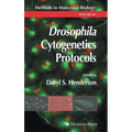 Drosophila Cytogenetics Protocols