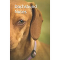 Dachshund Notes
