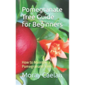 Pomegranate Tree Guide for Beginners: How to Maintain a Pomegranate Tree