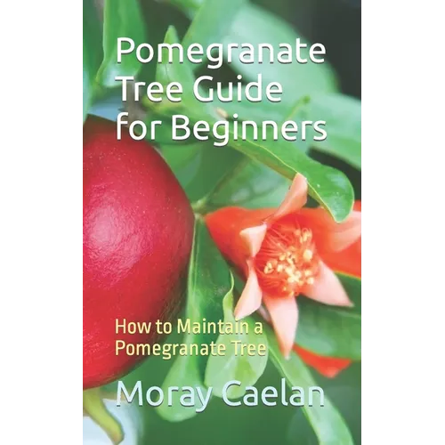 Pomegranate Tree Guide for Beginners: How to Maintain a Pomegranate Tree
