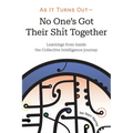 As it Turns Out - No One's Got Their Shit Together: Learnings from inside the Collective Intelligence journey