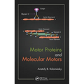 Motor Proteins and Molecular Motors