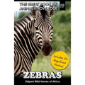 Zebras: Striped Wild Horses of Africa