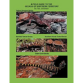 A Field Guide to the Geckos of Northern Territory