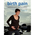 Birth Pain: Explaining Sensations, Exploring Possibilities (2nd Ed)