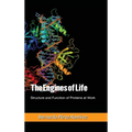 The Engines of Life: Structure and Function of Proteins at Work