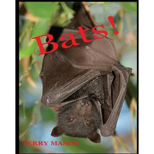 Bats: Learn About These Strange and Wonderful Creatures of the Night
