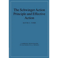 The Schwinger Action Principle and Effective Action