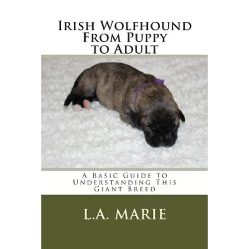 Irish Wolfhound From Puppy to Adult: A Basic Guide to Understanding This Giant Breed