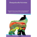 Sheepadoodle Activities Sheepadoodle Tricks, Games & Agility Includes: Sheepadoodle Beginner to Advanced Tricks, Fun Games, Agility and More