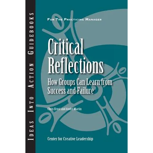 Critical Reflections: How Groups Can Learn from Success and Failure
