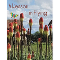 A Lesson in Flying