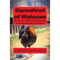Gamefowl of Waianae: A day at Tonto's Farm on the Westside of Oahu