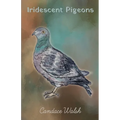 Iridescent Pigeons