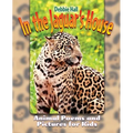 In the Jaguar's House