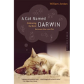 A Cat Named Darwin: Embracing the Bond Between Man and Pet