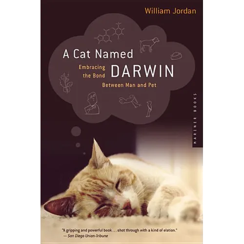 A Cat Named Darwin: Embracing the Bond Between Man and Pet