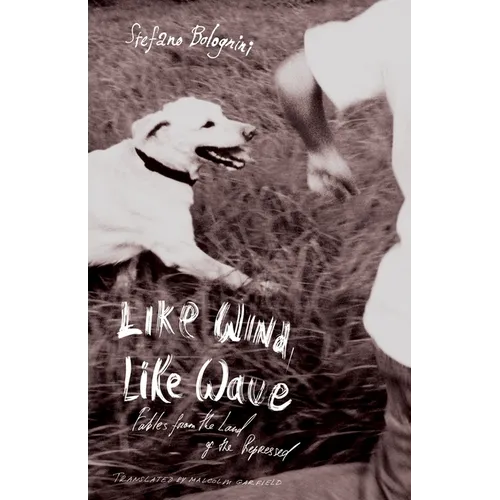 Like Wind, Like Wave