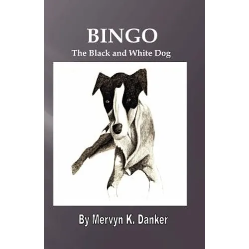 Bingo: The Black and White Dog