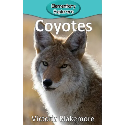 Coyotes