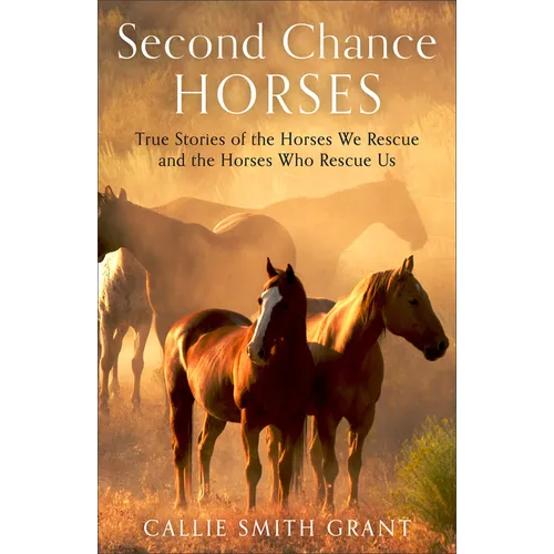Second-Chance Horses