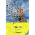 Shards a life in pieces