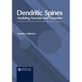 Dendritic Spines: Modeling, Function and Properties