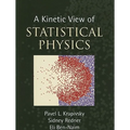 A Kinetic View of Statistical Physics